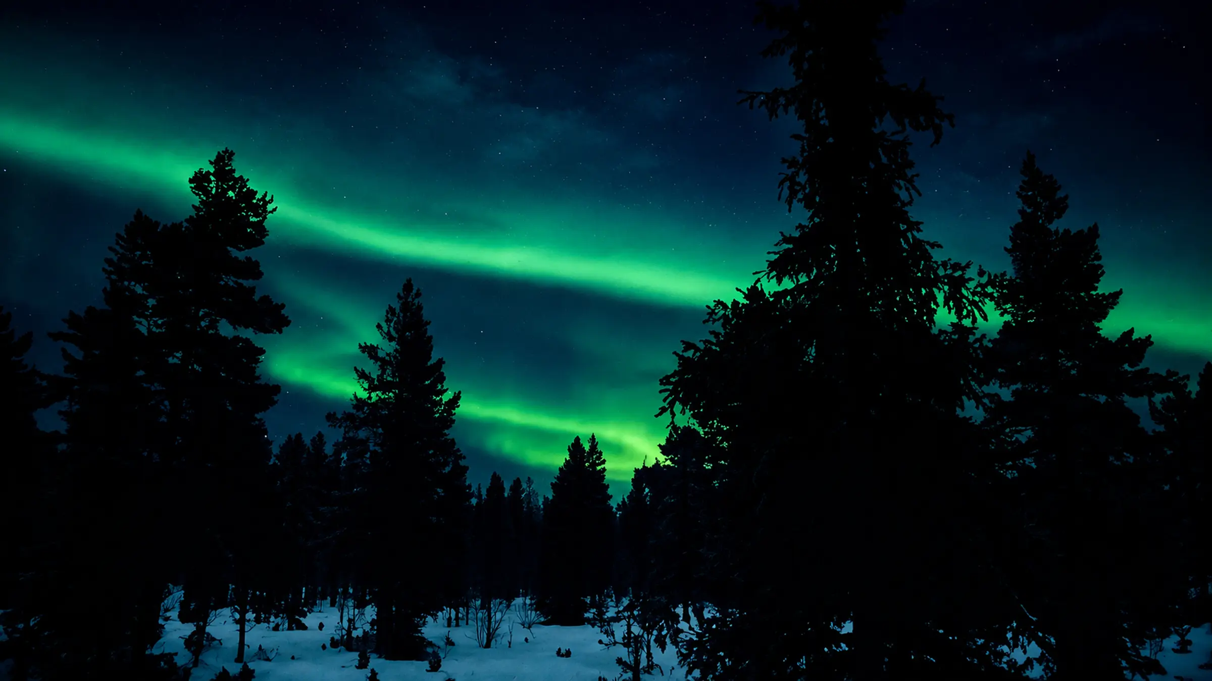 Aurora sweeping above a winter forest