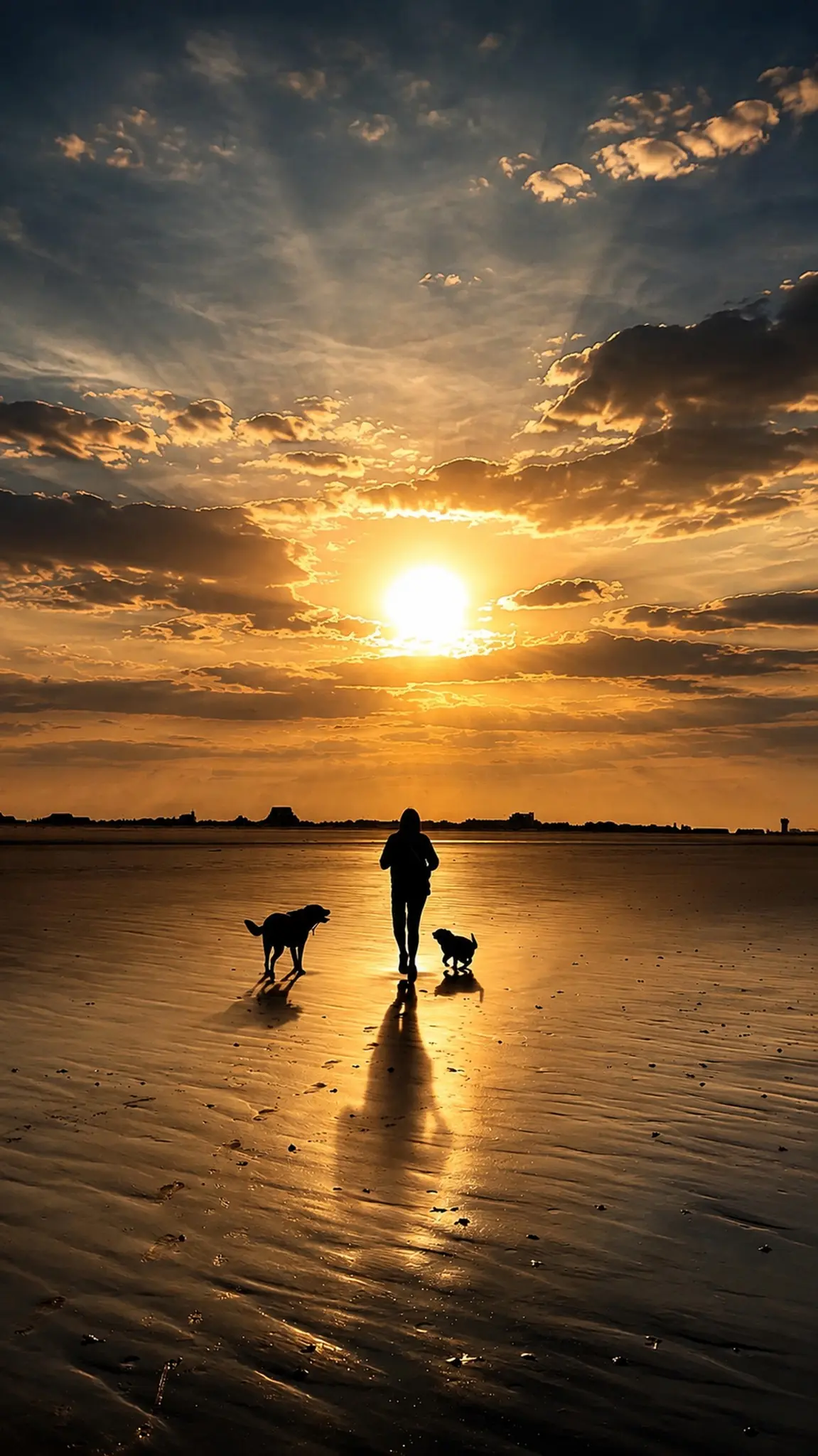 Silhouetted figure walking two dogs across a beach at sunset